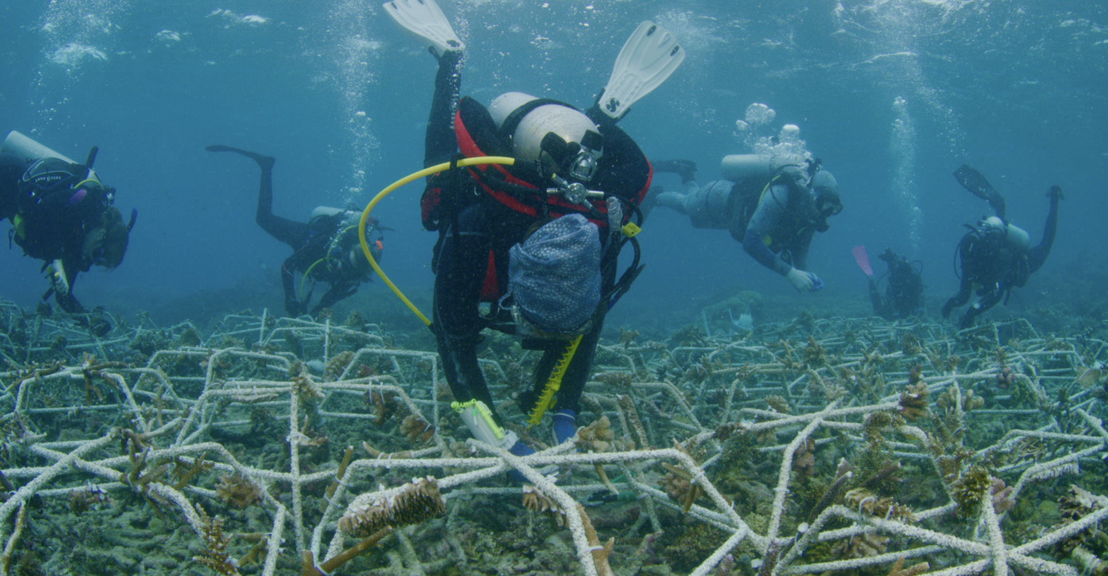 MARS Reef Star Installation