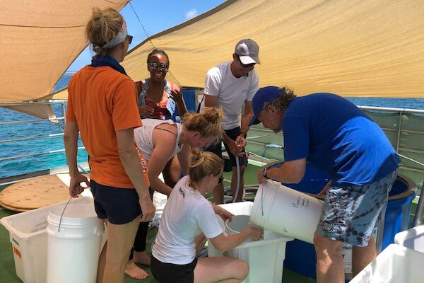 Marine-World-Sundeck-Lab-web