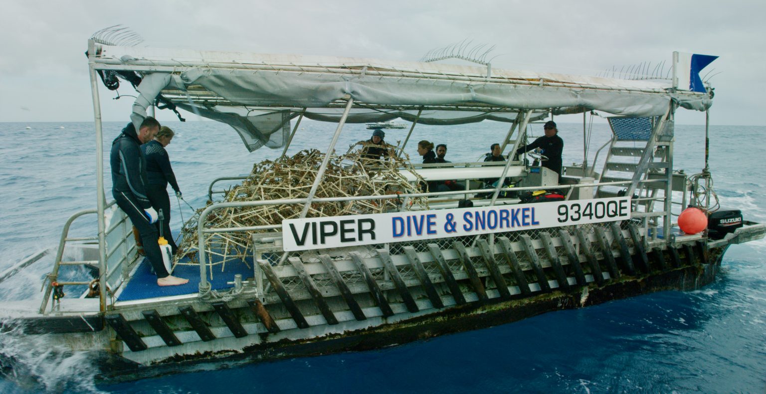 Reef-Stars-on-Viper-being-transported-from-pontoon-to-site-1536x790