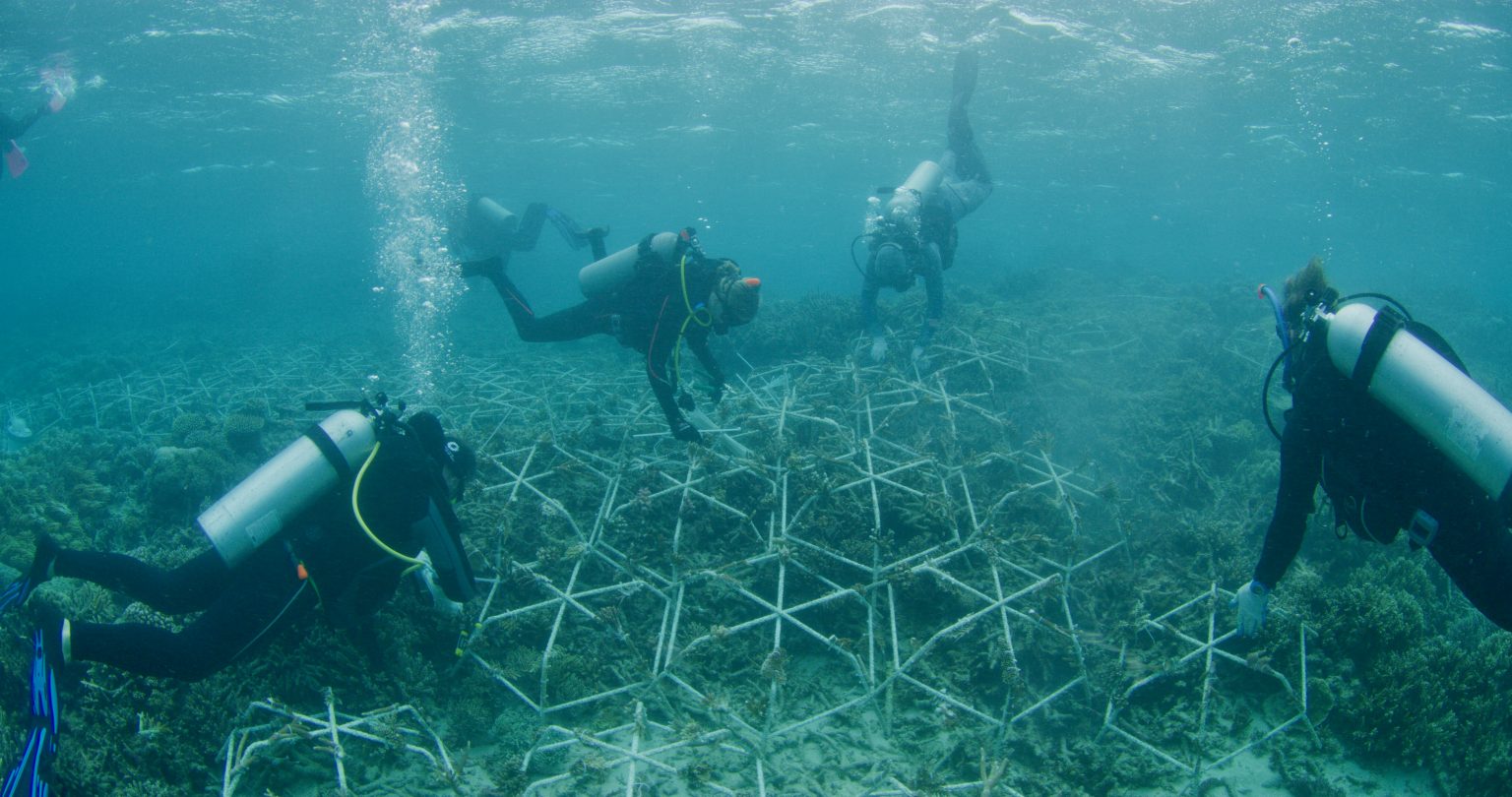 Coral Rubble Stabilisation