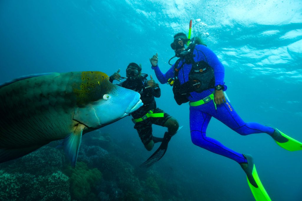Indigenous Ranger Dive Training GBR Biology